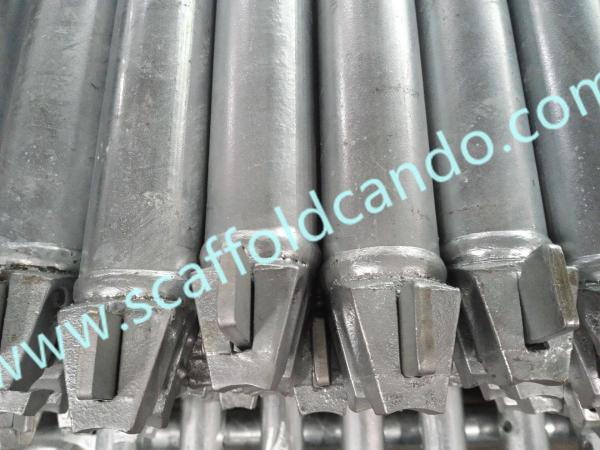 Q235 Q345 48.3mm scaffolding ringlock ledger horizontal 900mm 1200mm 1500mm