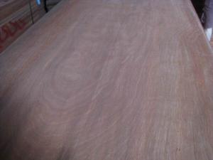 China Rotary Cut/Peeled Gurjan Wood Veneer Sheet factory