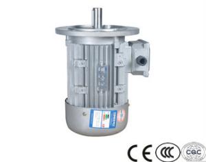 China high quality IP55 high efficient water pump three phase induction squirrel cage ventilation motoren with brake factory