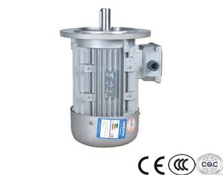 high quality IP55 high efficient water pump three phase induction squirrel cage