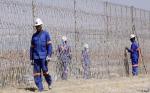 Galvanized Razor Wire with 22mm Barb for homes farms banks factories in Kenya