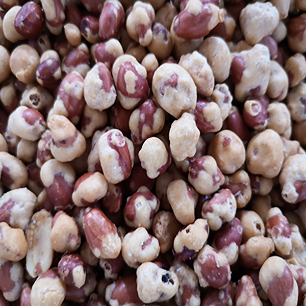 50kg/h Stainless Steel Coated Nuts Swing Roaster Japanese Beans Swing Oven