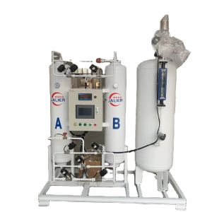 Psa Nitrogen and Oxygen Gas Generators Customized Solutions for Refill Gas