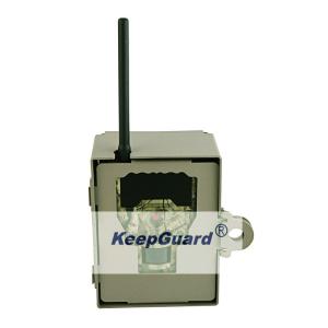 China Custom Made Live Wildlife IR HD Hunting Cameras 5 Megapixel Color CMOS factory