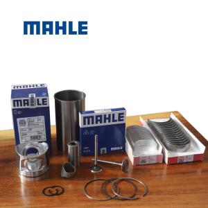 China Mahle D6D D6E Overhaul Parts 385-1657 2129-1110 For VOLVO EC210 Excavator factory