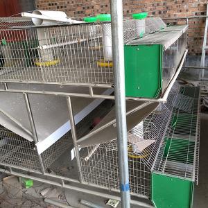 China Industrial 2 Layer Female Chicken Wire Rabbit Cage Electric Galvanized factory