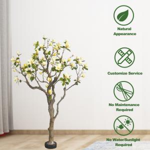 China Dorm Room Ornamental Artificial Potted Floor Plants Magnolia Tree factory