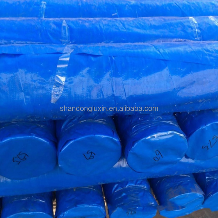 Waterproof Dustproof Moisture Proof Tent With 140 Gsm Polyethylene PE Tarpaulin
