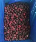 Wholesale Bulk IQF Sweet Blackberry Freezing Delicious Frozen Blackberry