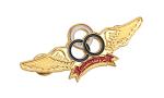 Metal 3D Military Private Security Officer Badges Electroplate Process
