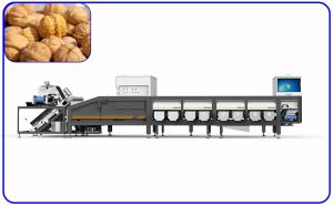 China Intelligent 8 Channel Walnut Sorting Machine 50Hz Agricultural Product Sorter on sale