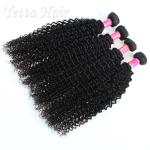 Kinky Curly Burmese Virgin Hair Bundles , No Tangle Real Wavy Hair