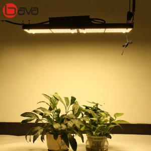 China 3500K 285*165mm PCB LM301B LED Grow Light Meanwell Driver factory