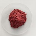 Best Selling Products Organic Acai Berry Powder In Bulk Stock