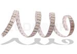 43.2W 3014SMD 432LEDs/m Super Brightness High Lumen LED Strip Lights Ceiling