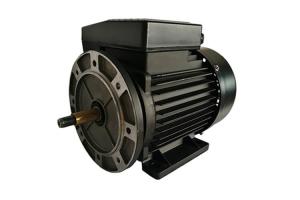 China 2 Pole Stable Performance Single Phase Capacitor Start Motor 220V 50Hz For Bath Pump factory