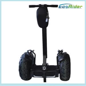 China Chariot Electric Scooter 2000W Self Balancing Vehicle Free Standing factory