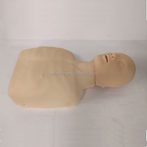 CPR training manikin cardiopulmonary resuscitation human model