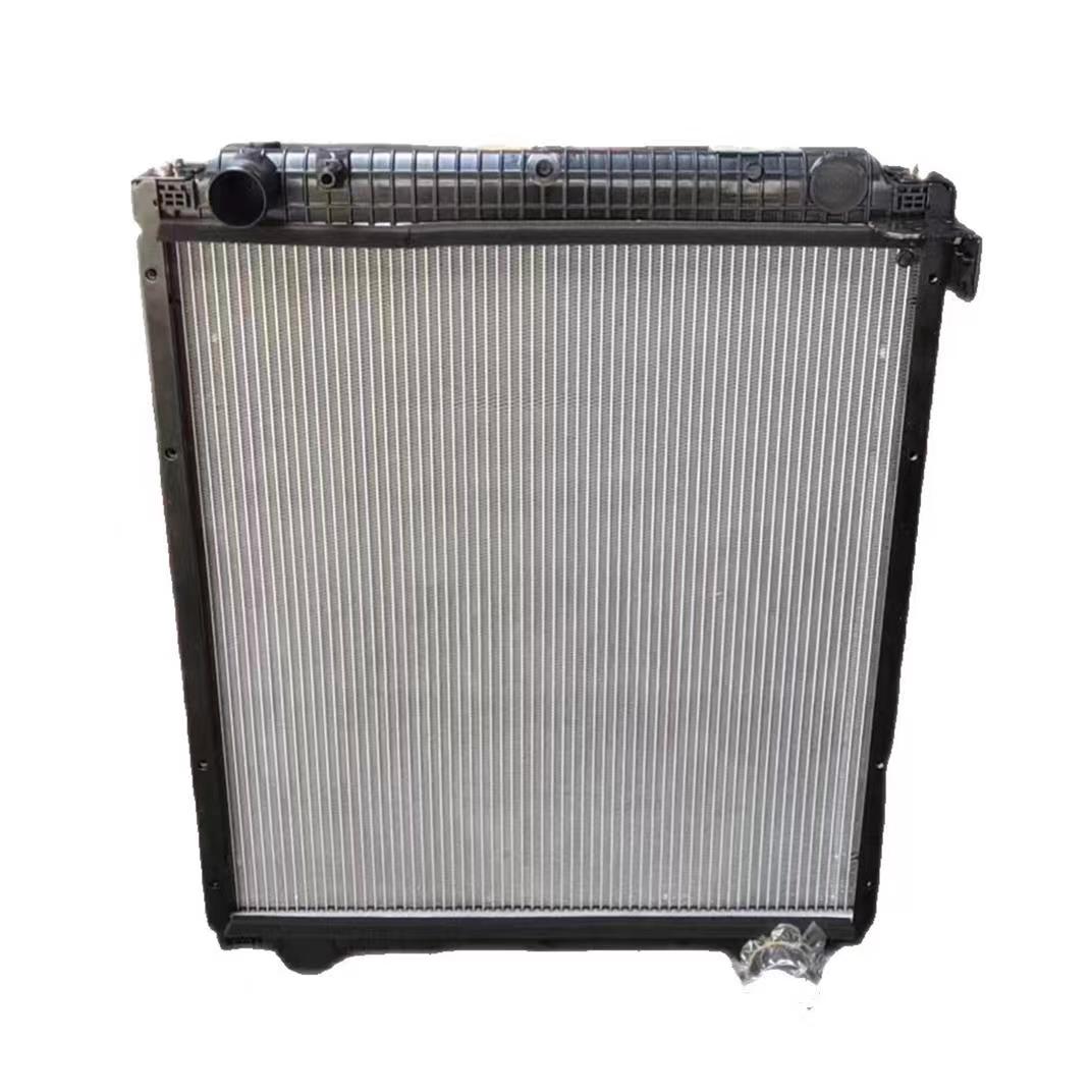Shaanxi Truck Radiator Assembly WG9719530276 1424113101002 100% Professionally Tested