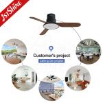 Metal Material Ceiling Fan with Low Noise DC Motor and Air Conditioning LED