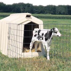 China Calves Cage Livestock Farm Equipment Plastic Calf Shelter Anti UV factory