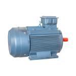 IP55 LV Squirrel Cage Motor Asynchronous 380v Electric Motor Winding Wire