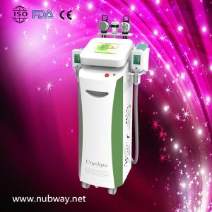China Ice Coolshaping Cryolipolysis Fat Freezing Machine For Body Slimming factory