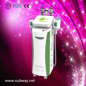 China Super fast amazing result cryolipolysis burn fat to lose weight factory