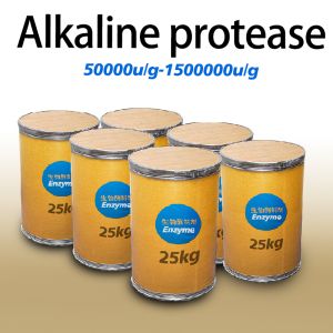 Customized Bacterial Protease Enzyme Alkaline Protease 2.4L  Food Grade