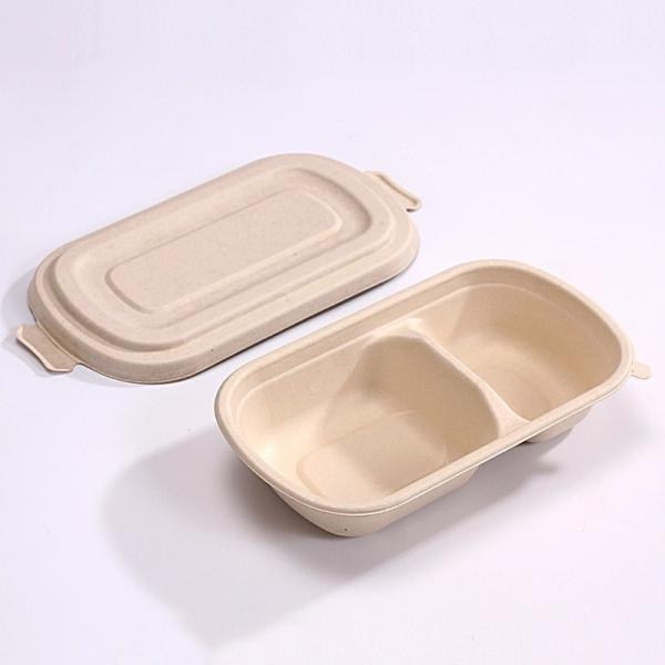 Eco Friendly Compostable Sugarcane Container 1000ml 2 Compartment Takeaway