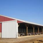 Safety Steel Structure Cow Shed House Agricultural Farm Steel Building