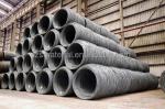 Non-Alloy SAE 1008 Carbon Steel Wire Rod 5.5mm 6.5mm for Nail Making Processing