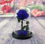 Real Natural Fresh Big Rose Preserved Flower Preserved Everlasting Real Roses in