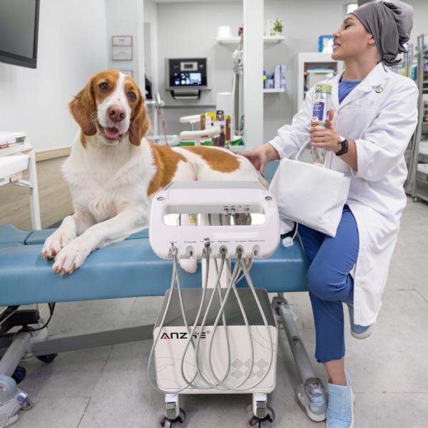 Foshan Veterinary Equipment Factory Mobile Dental Delivery Unit Vet Use Dental