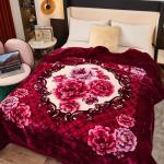 2-3KG Warm Soft Comfortable Korean Double Player Raschel Blanket with Warmth