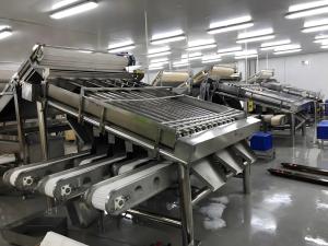 China 3P Durable Prawn Grading Machine , Anti Erosion Shrimp Sorting Equipment factory