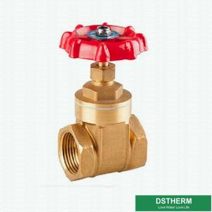 China Customized Brand BSPT Heavier Style Brass Gate Valve Double Female Heavier type Gate Valve factory