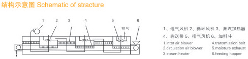 DW Single-layer Mesh-Belt Drier