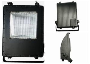 China Less Line Loss 70W Metal Halide Floodlight With Double - Ended R7S Lamp Base factory