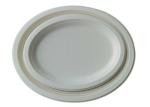 10 Inch 17g Eco Friendly Sugarcane Paper Plates