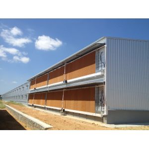 Q235B Galvanized Steel Poultry House with Bolted Connection