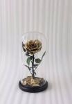 Never fade gold dipped heart shape real preserved gold rose in glass
