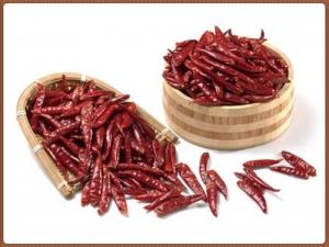 China Xinglong Dried Red Chilli Peppers 4CM Vacuum Chaotian Chili Spicy factory