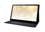 1920x1080 Mobile Phone Powered 1080P IPS Screen 15.6 Inch Portable Monitor