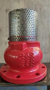 China screen SS304 DN100 PN16 GGG50 foot valve factory in Hebei Province factory