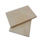Birch Core MR WBP 915*2135mm Phenolic Faced Birch Plywood