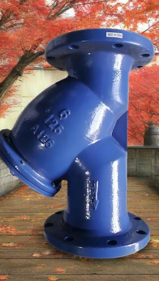 ASME B16.1 Design Standard Y-Type Strainer for 11/2 Port Size in Industrial