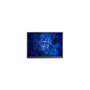 China F060A09-6T2 6.0 inch 720*1280 LCD Screen Panel factory