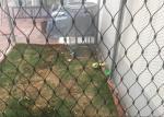 Zoo / Garden Stainless Steel Wire Rope Mesh With 1.2mm-3.2mm Wire Diameter