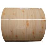 RAL3003 Z60 20/7 Color Coated Steel Coil PPGI Steel Coil Prepainted Galvanized